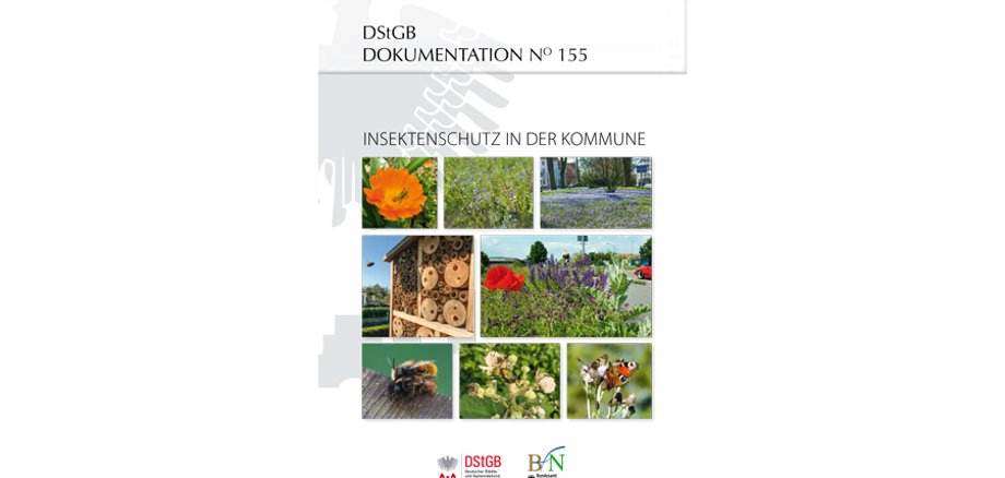 Titelbild DStGB-Dokumentation Insektenschutz in Kommunen