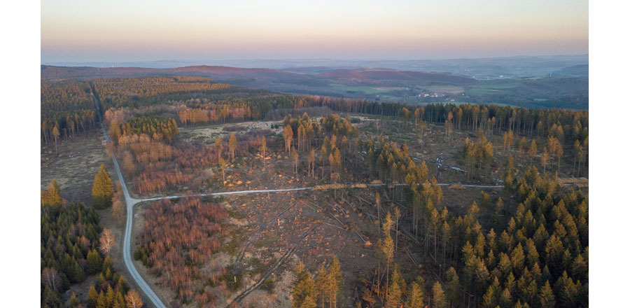 © Rouven Kreienmeier © Rouven Kreienmeier