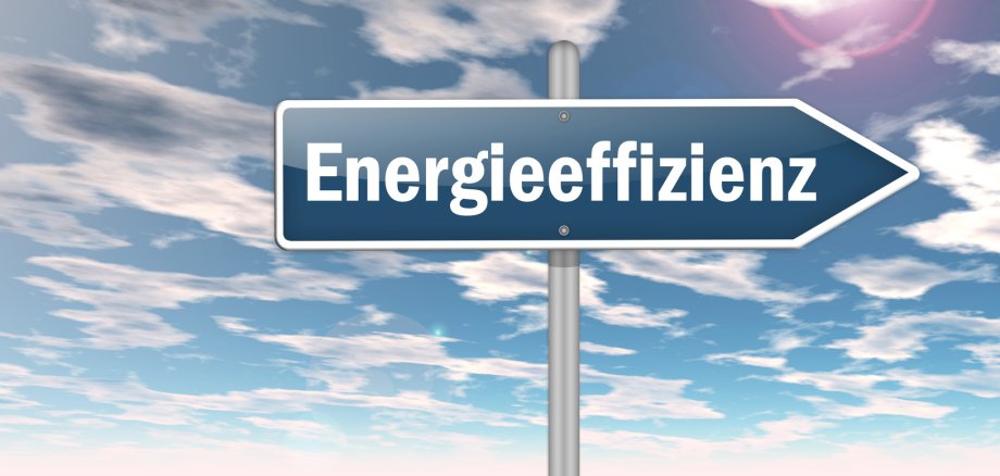 Wegweiser "Energieeffizienz" im Hintergrund Wiese