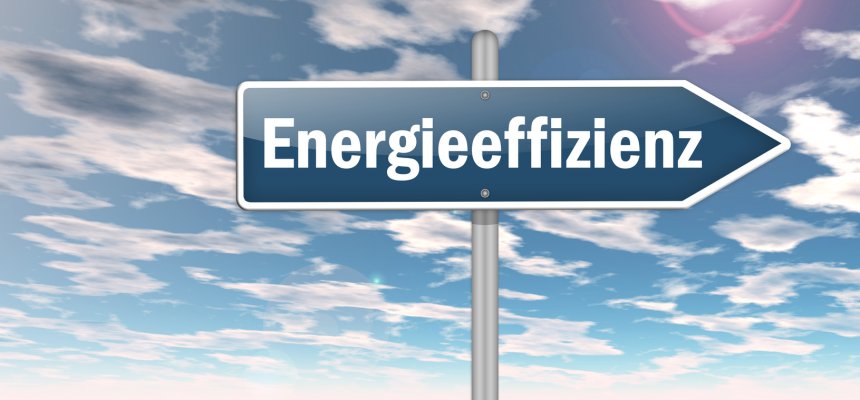 Wegweiser "Energieeffizienz" im Hintergrund Wiese