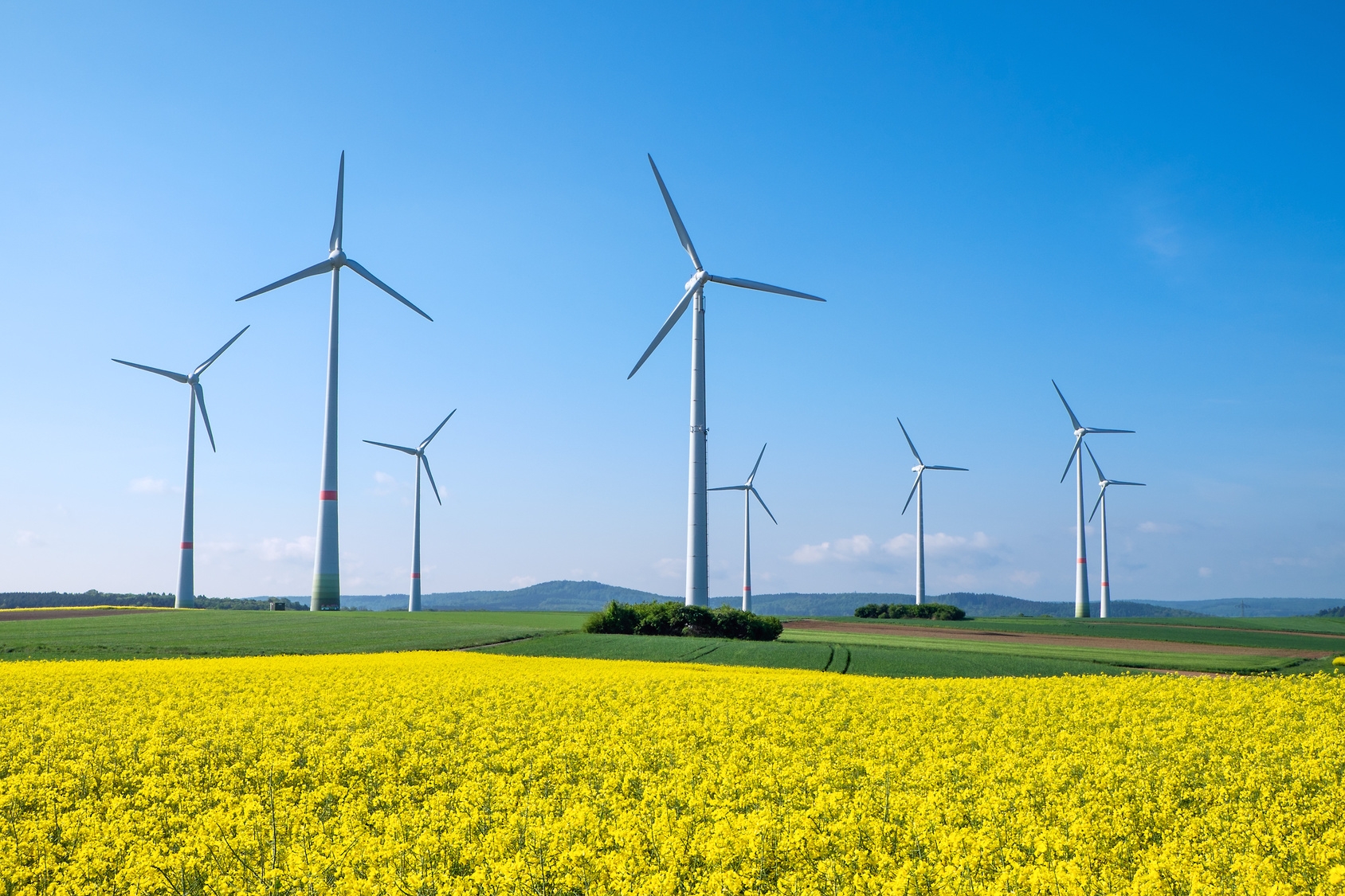 Rapeseed and windwheels Windräder aauf Wiese