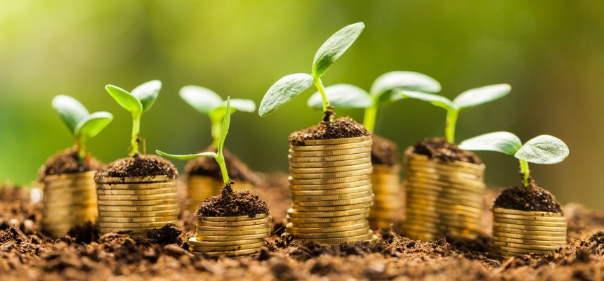Growth, business, money. Geld aus Erde