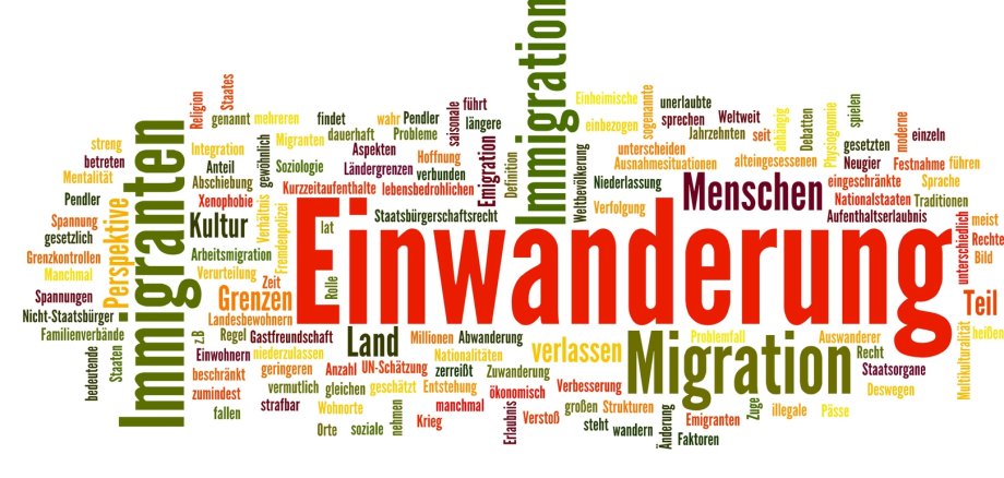 Einwanderung (Immigration, Migration)