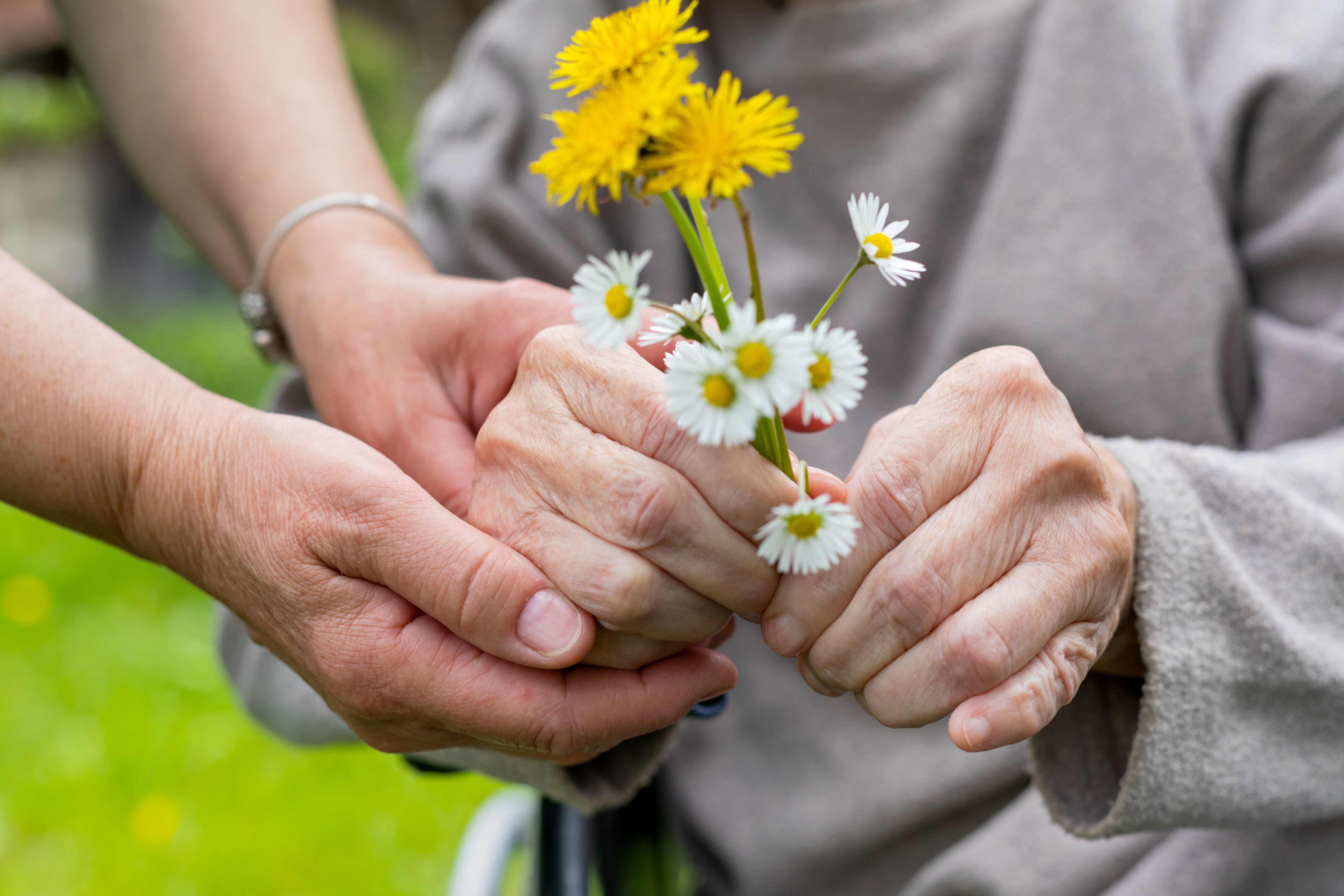 Elderly care - hands, bouquet