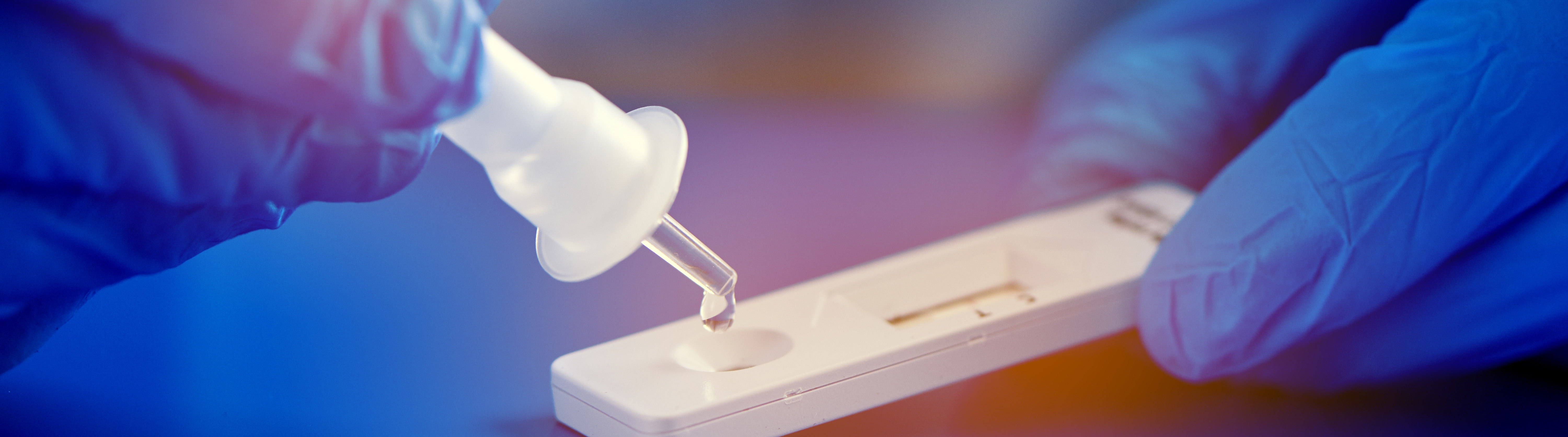 Großaufnahme eines Corona Schnellteststreifens mit blauen OP-Handschuhen