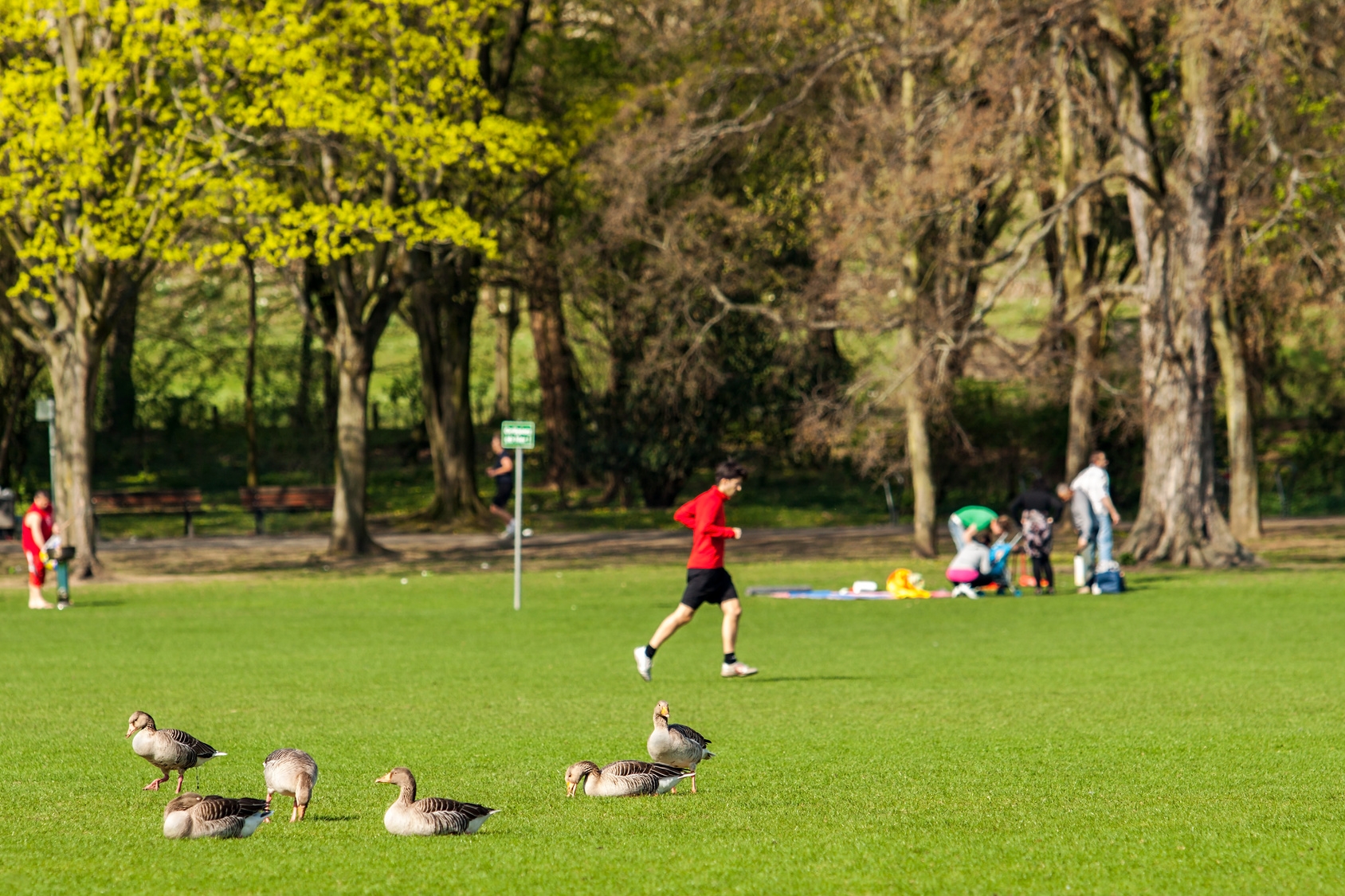 Freizeit im Stadtpark
