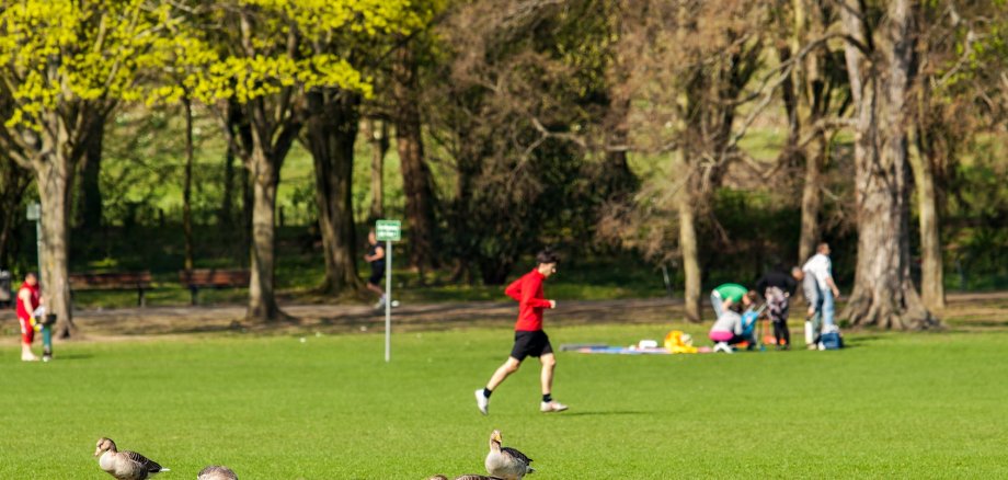 Freizeit im Stadtpark