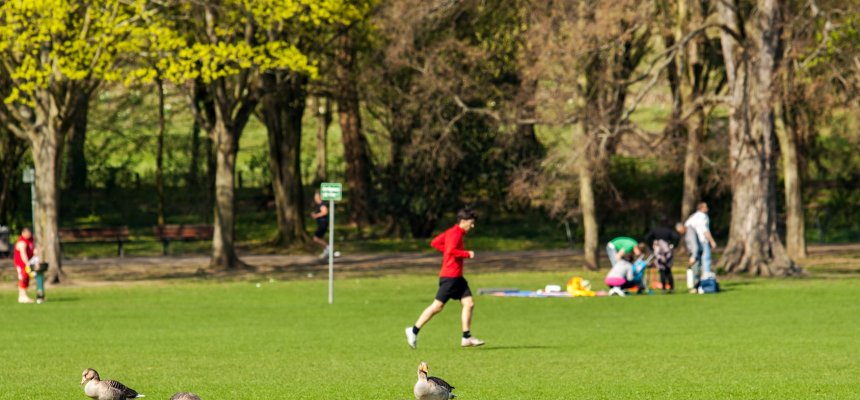 Freizeit im Stadtpark