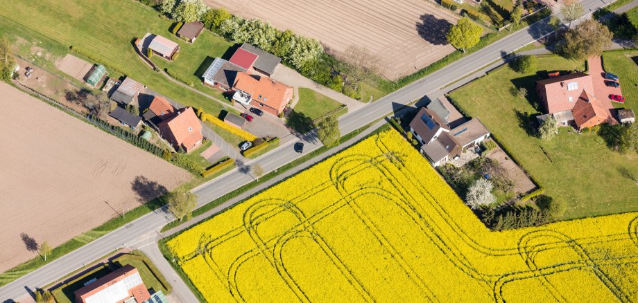 Luftaufnahme von Feldern in Norddeutschland