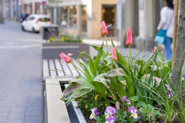 Pflanzkübel in der Einkaufsstrasse einer Stadt