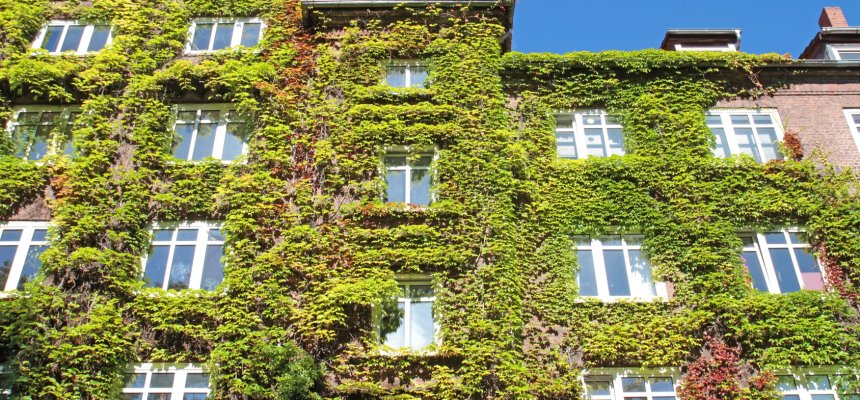 Haus mit Moos bewachsen - Fassadenbegrünung