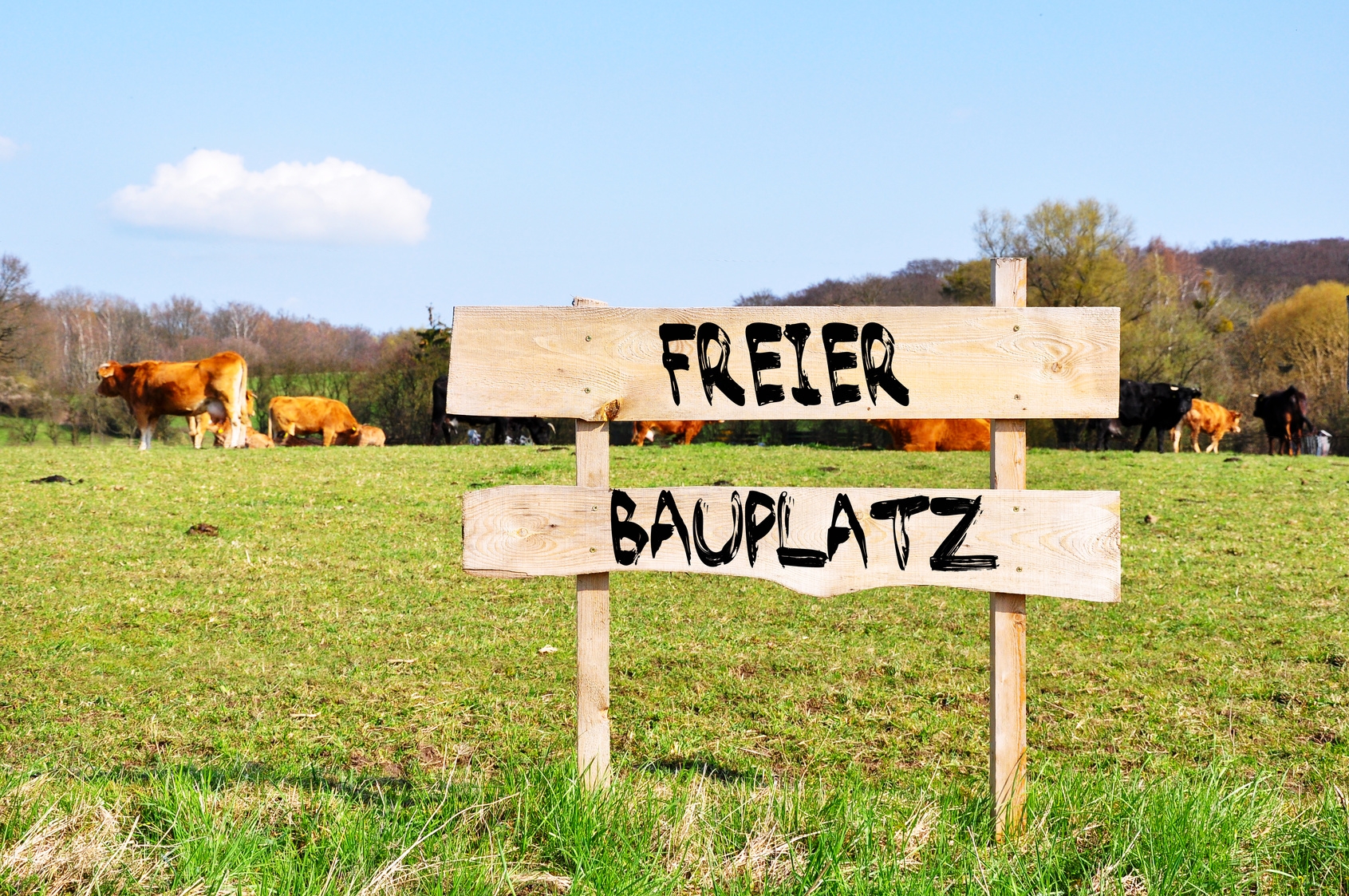 freier bauplatz
