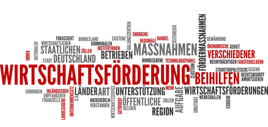 Mindmap zum Thema Wirtschaftsförderung (Wirtschaft, Politik, Förderung)