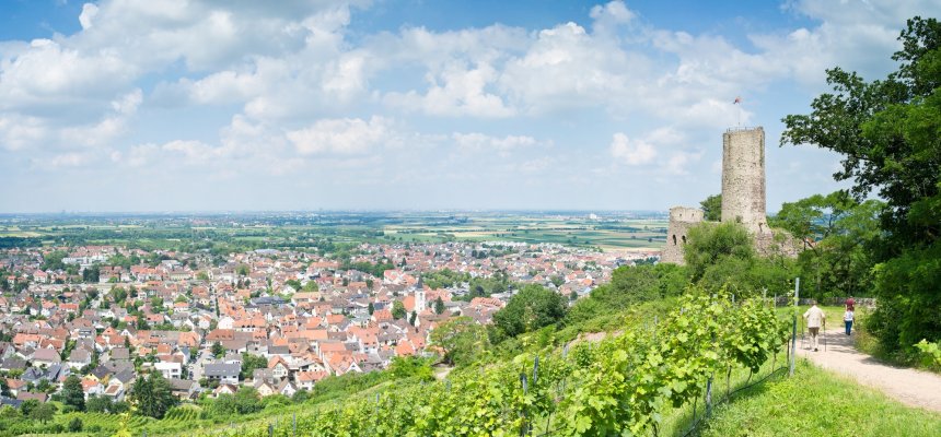 Strahlenburg in Schriesheim