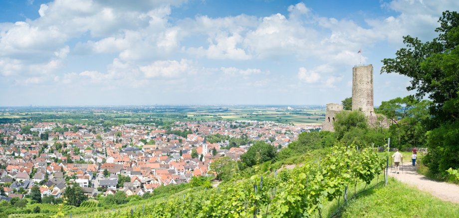 Strahlenburg in Schriesheim