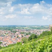 Strahlenburg in Schriesheim