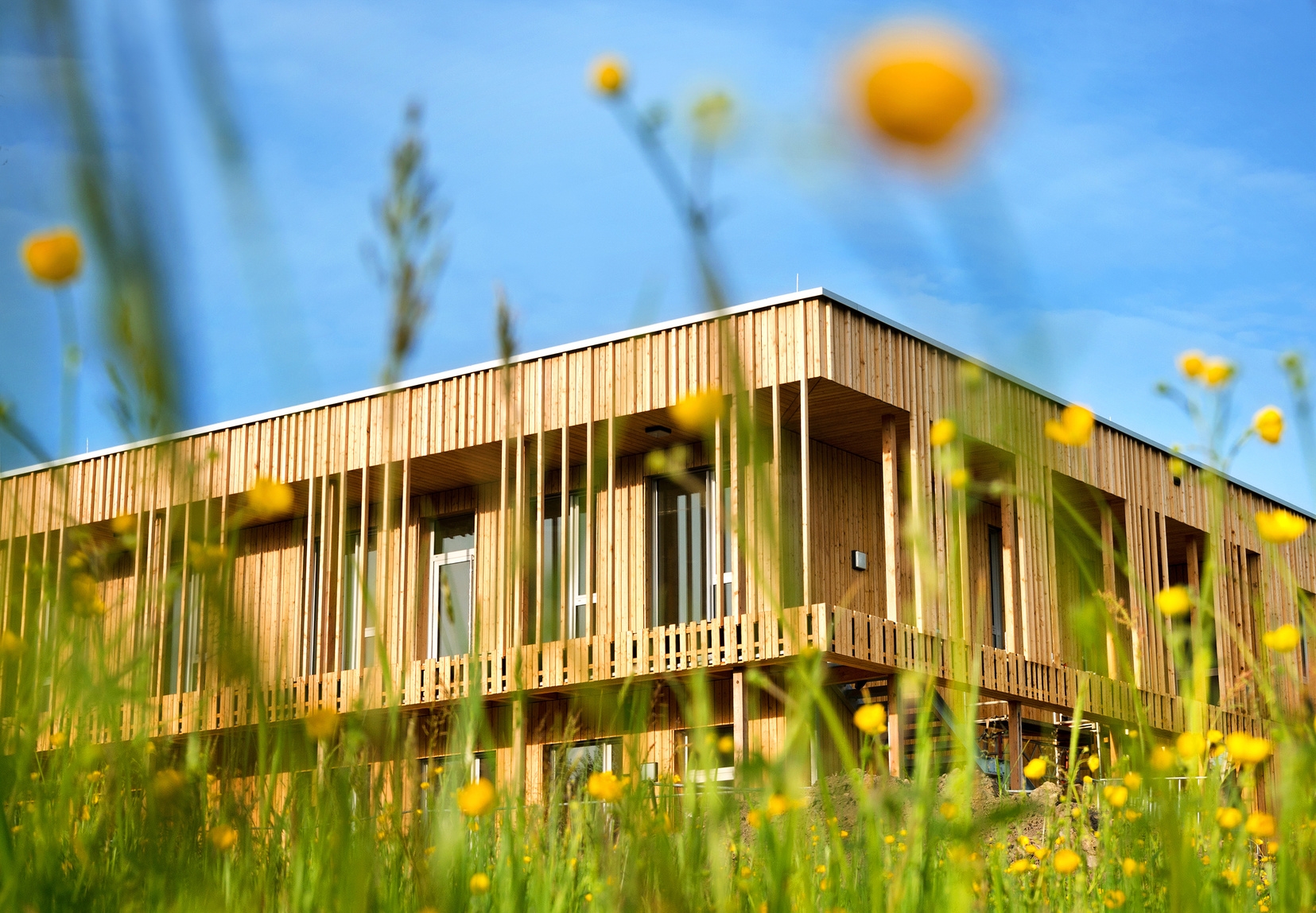 Holzhaus modern kologisch Gebude Holzfassade in Natur Holzhaus modern ökologisch Holzfassade in Natur