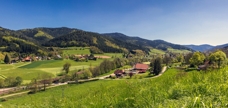 Panoramalandschaft im Gutachtal, Schwarzwald