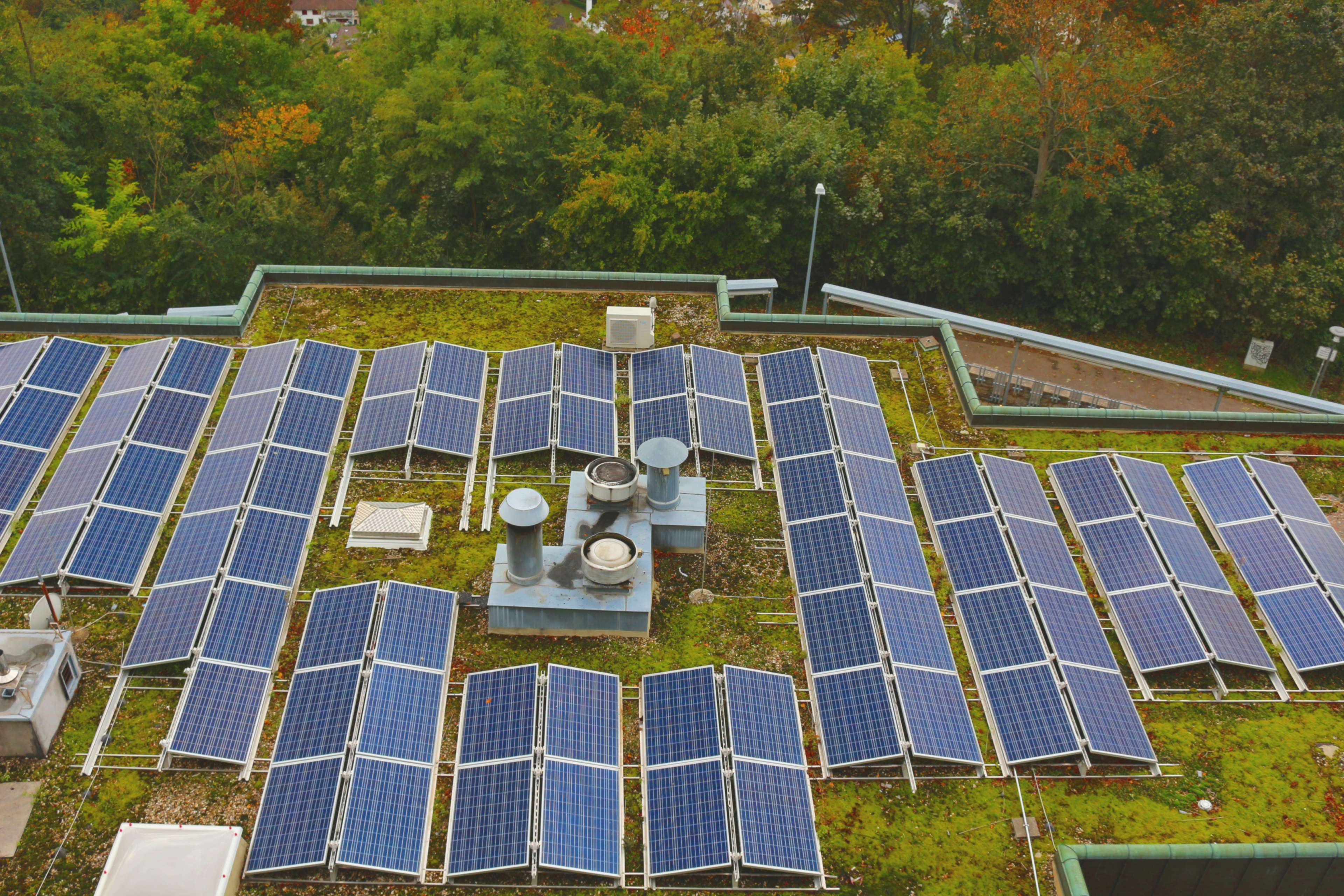 Solarmodule auf begrüntem Flachdach 