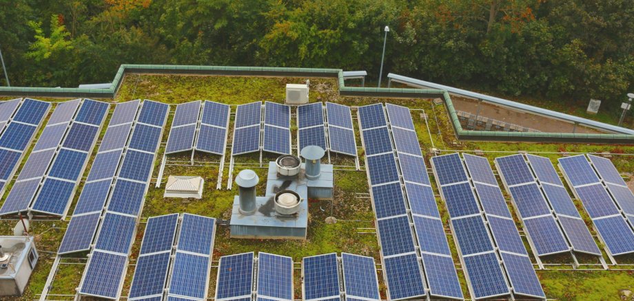Solarmodule auf begrüntem Flachdach 