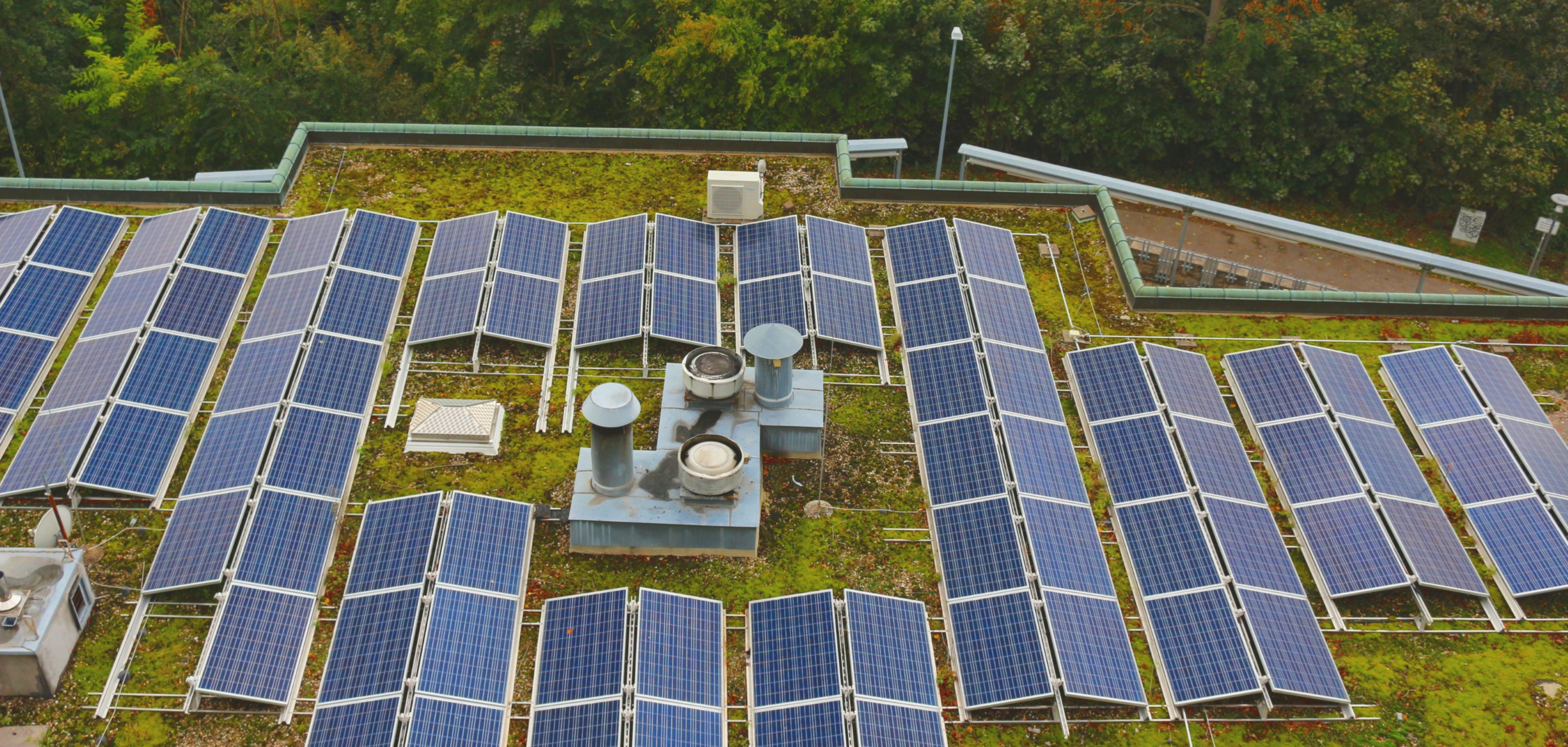 Solarmodule auf begrüntem Flachdach 