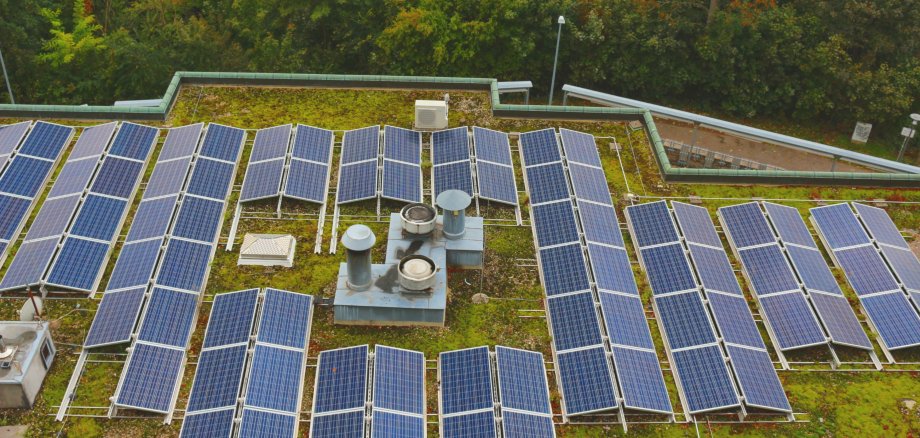 Solarmodule auf begrüntem Flachdach Solarmodule auf begrüntem Flachdach