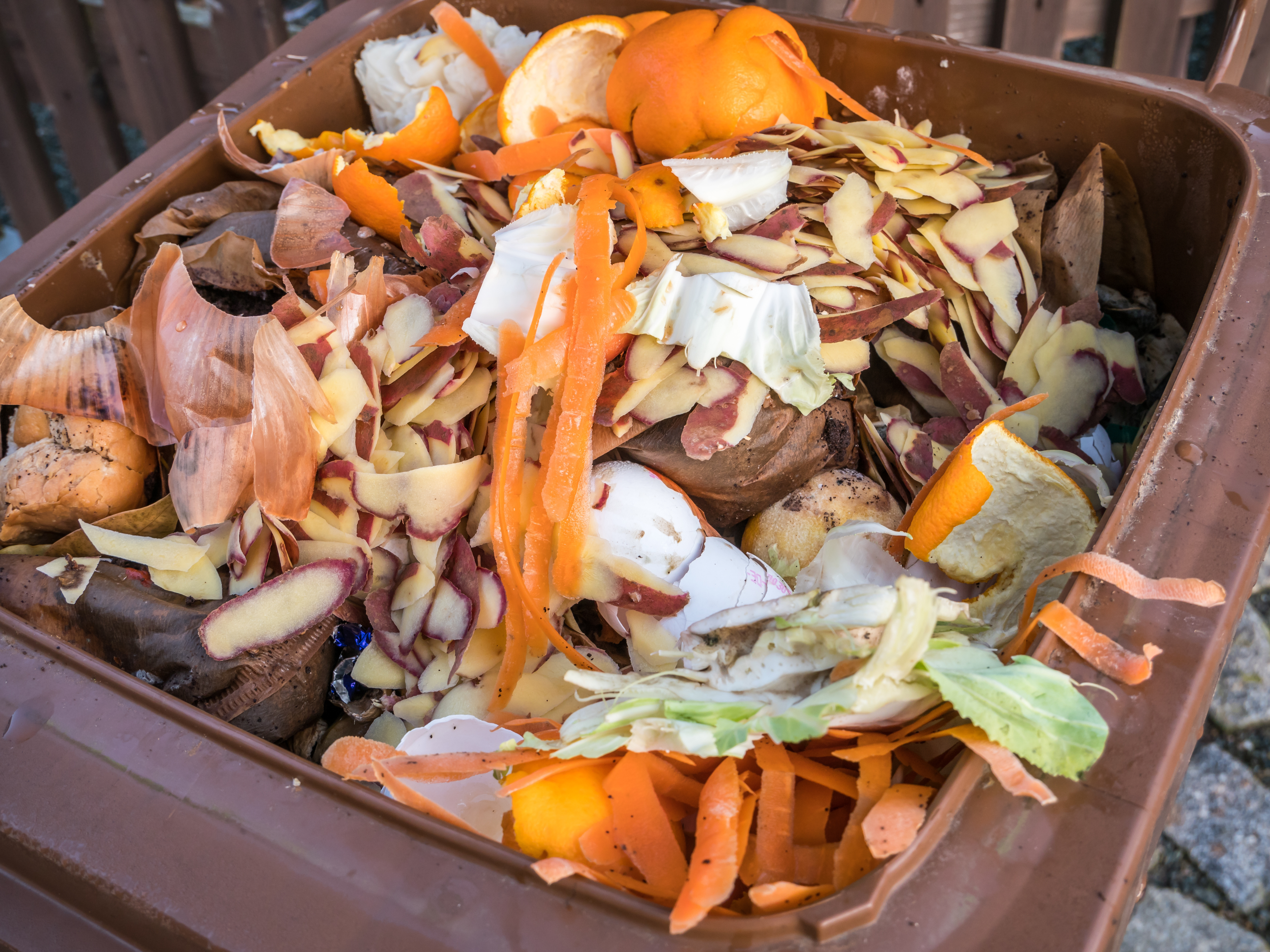 Bioabfall in der Biotonne Bioabfall in der Biotonne