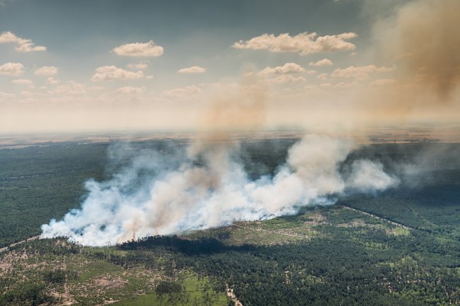 Rauchschwaden und Feuerausbreitung eines Brandes im Baumbestand / Wald - Luftbild