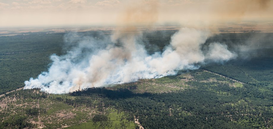 Rauchschwaden und Feuerausbreitung eines Brandes im Baumbestand / Wald - Luftbild