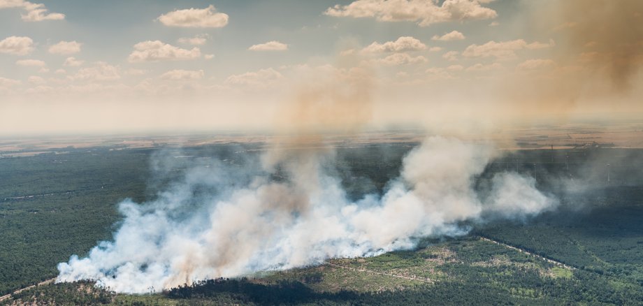 Rauchschwaden und Feuerausbreitung eines Brandes im Baumbestand / Wald - Luftbild