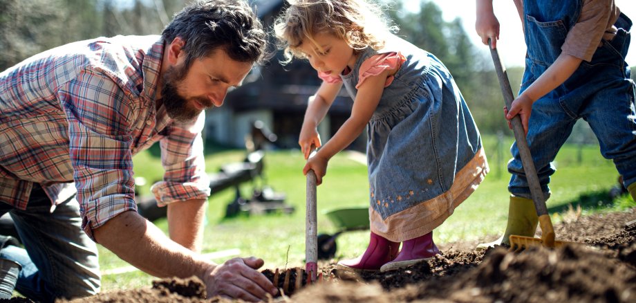 Vater mit kleinen Kindern, die im Garten zusammen arbeiten. 