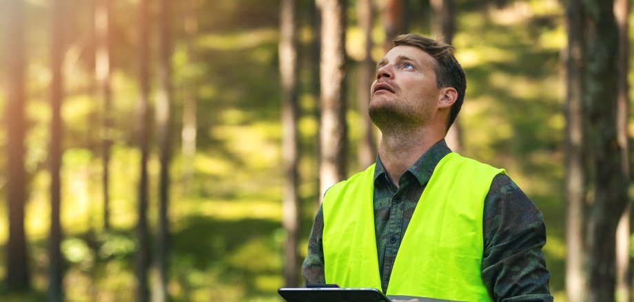 Forstamtsmitarbeiter arbeitet mit einem digitalen Tablet im Wald