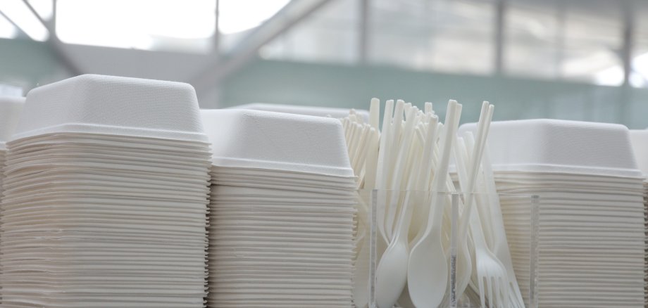 Disposable tableware