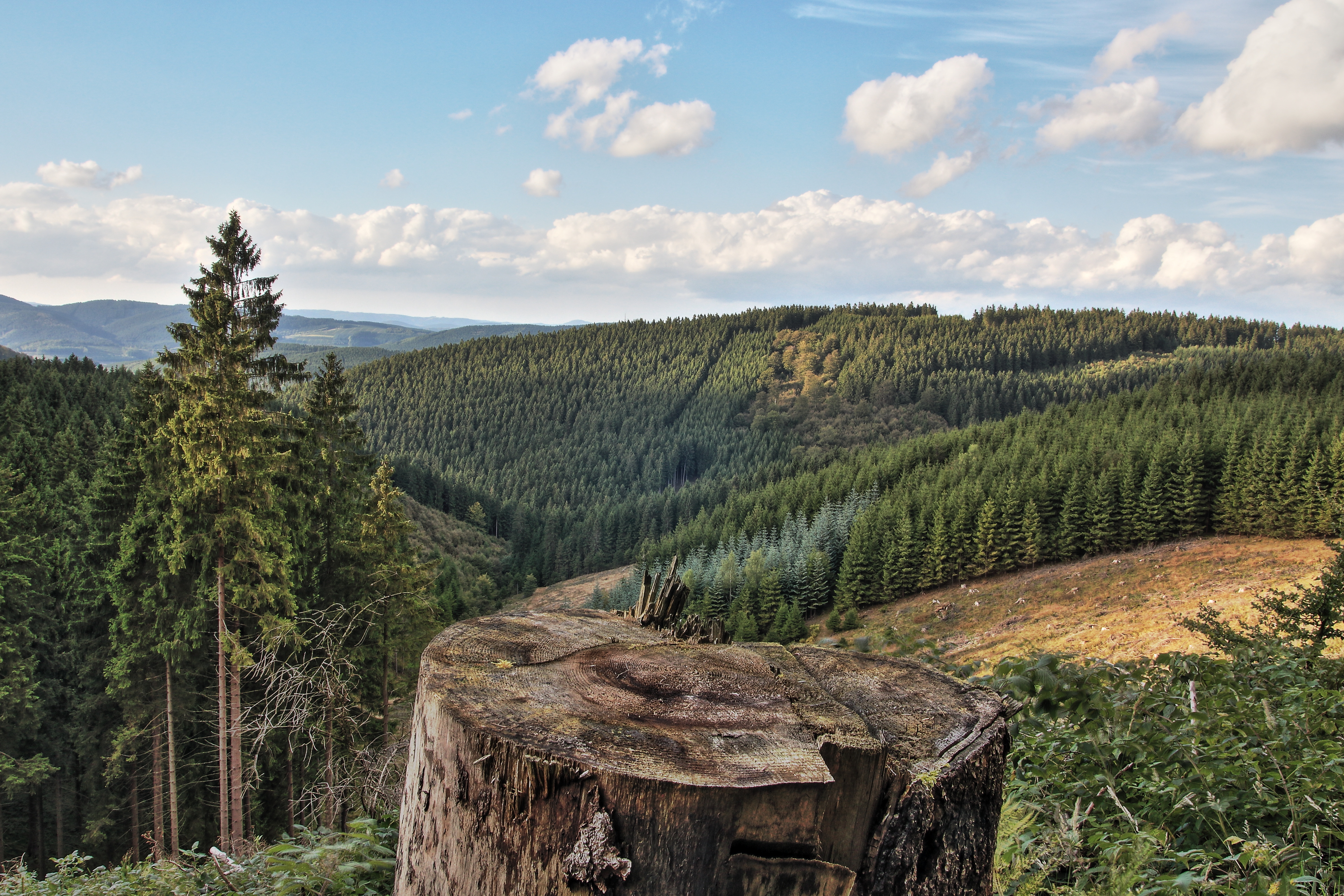Sauerland Rothaarsteig Deutschland Sauerland Rothaarsteig Deutschland