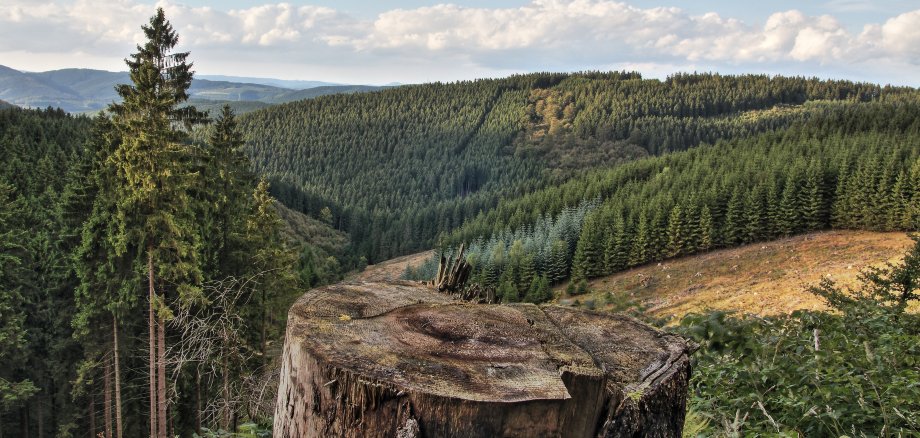 Sauerland Rothaarsteig Deutschland