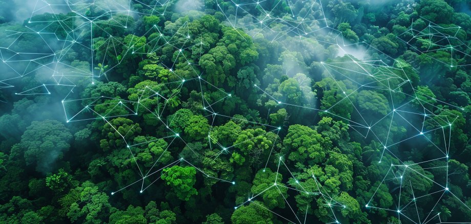 South America: Highlighting the Amazon Rainforest's IoT applications for sustainability, Created using generative AI