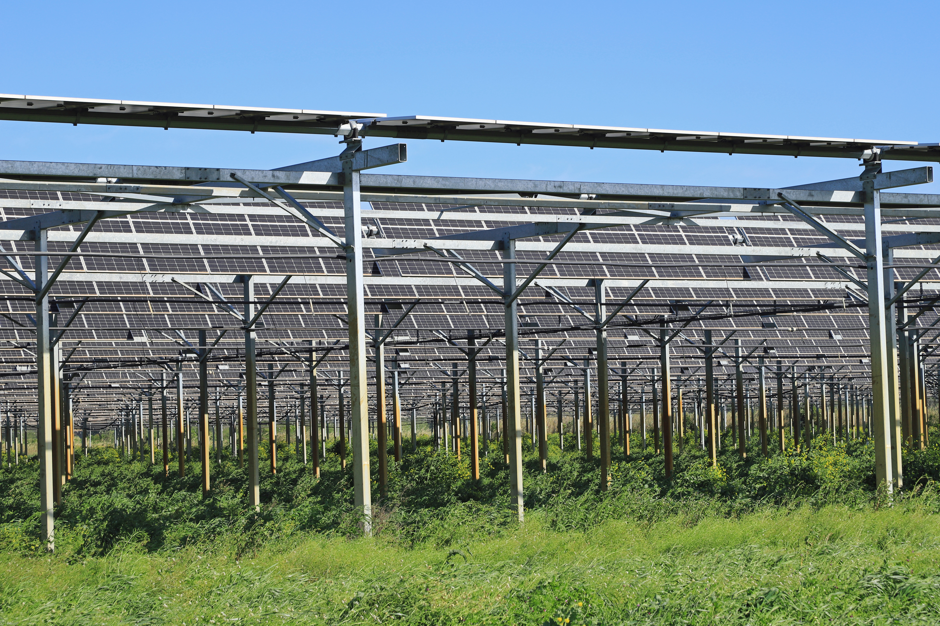 Serre photovoltaïque agricole.
