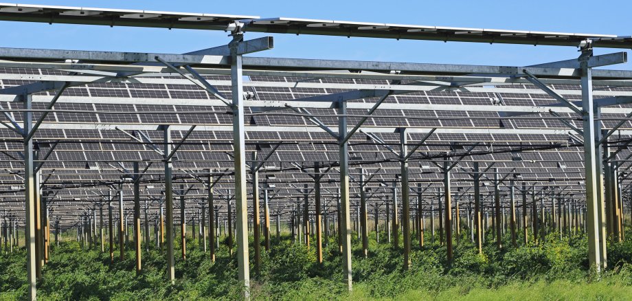 Serre photovoltaïque agricole.