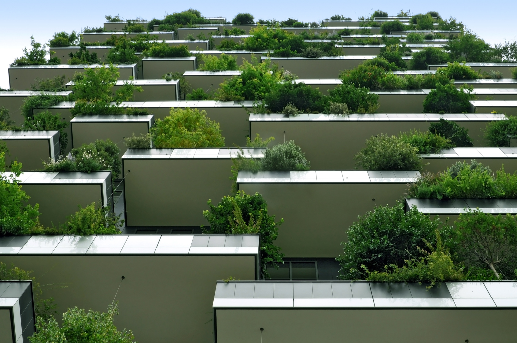 Hochhäuser bewachsen mit Bäumen