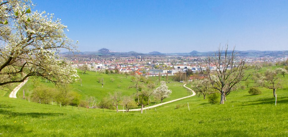 Blick auf Göppingen vom Eichert