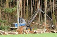 Holzvollernter bei der Arbeit