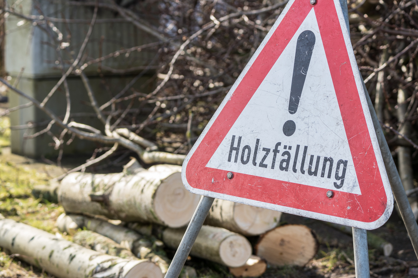 Achtung Holzfällung Schild
