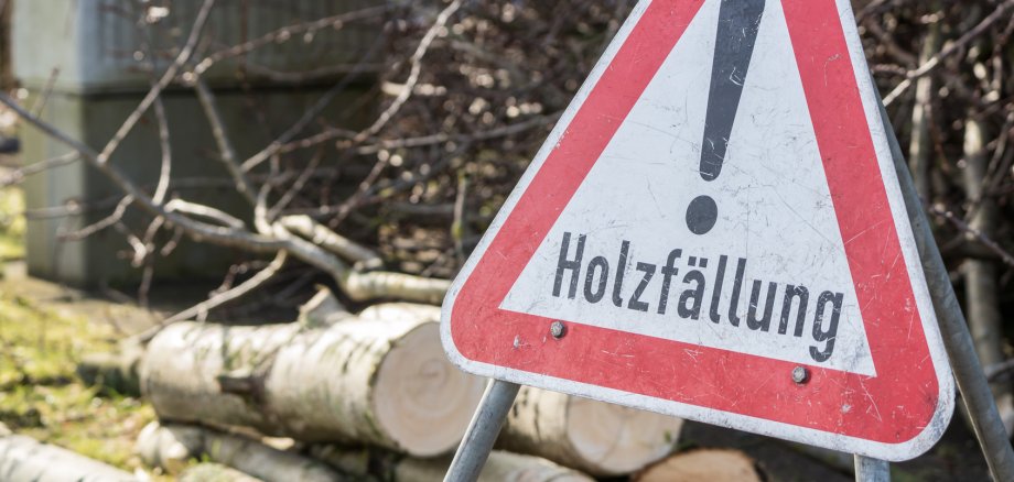 Achtung Holzfällung Schild