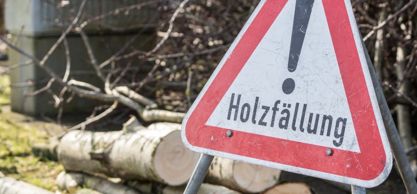 Achtung Holzfällung Schild