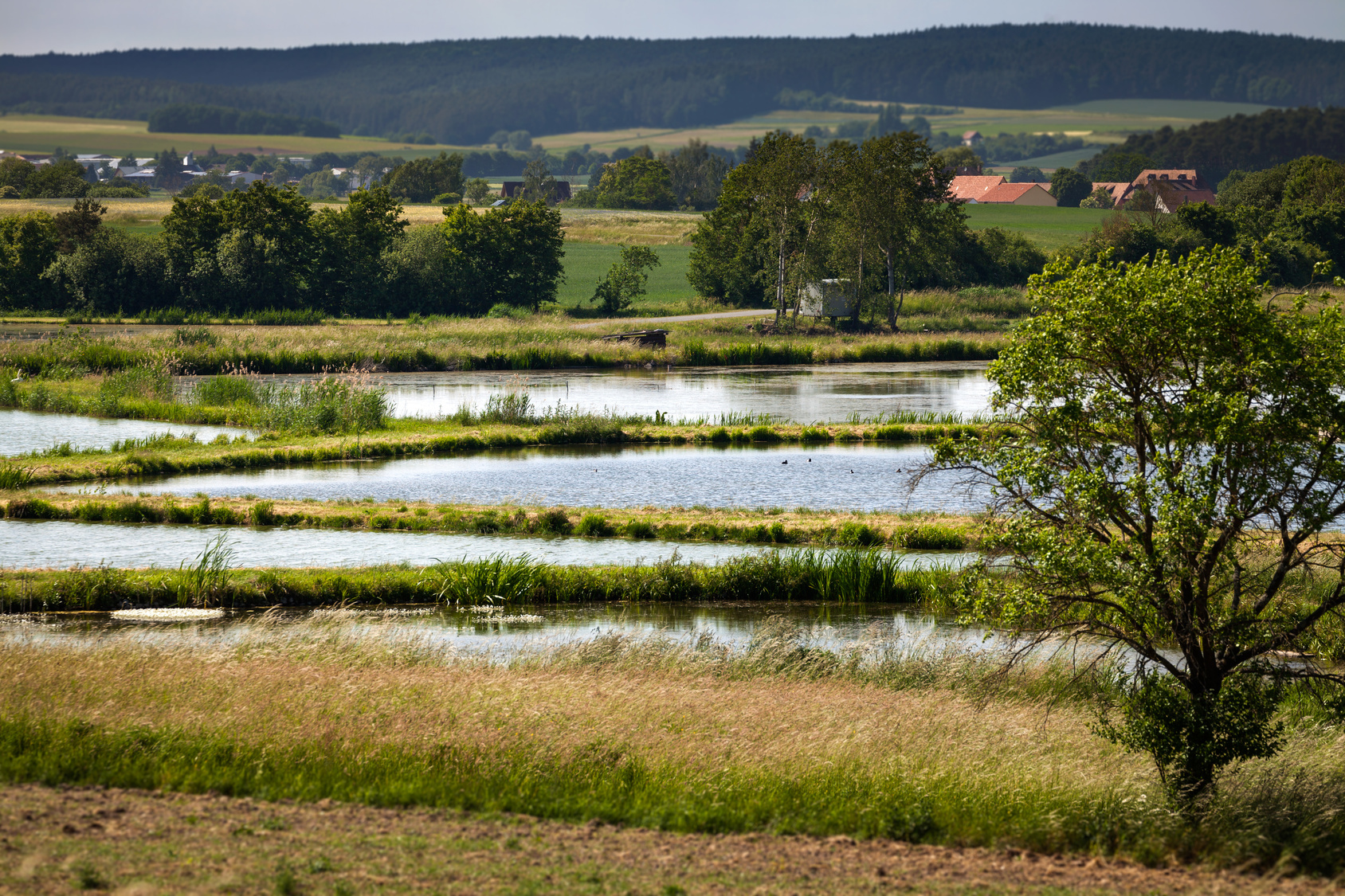 Weiherlandschaft Weiherlandschaft