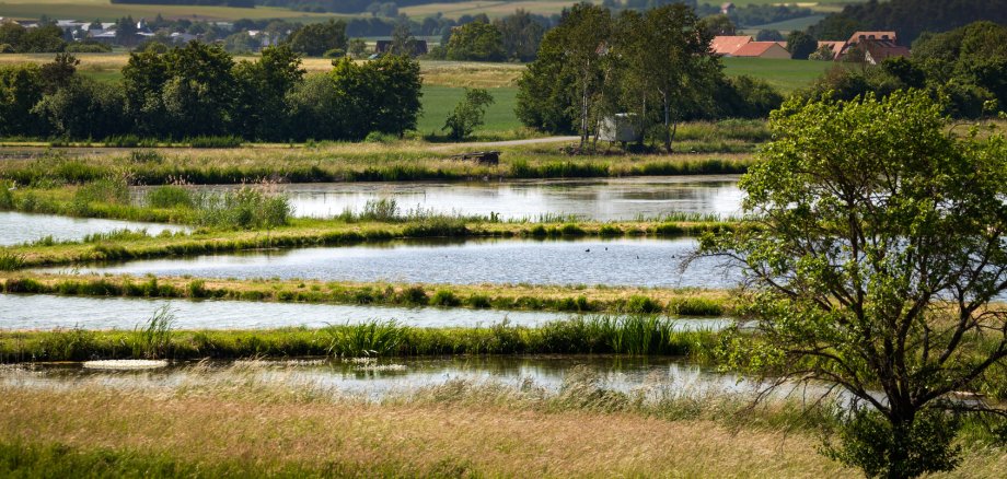 Weiherlandschaft