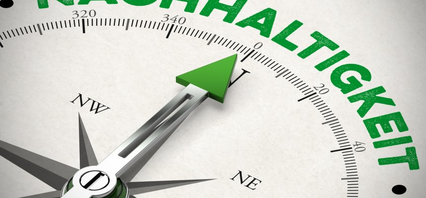 Kompass zeigt in Richtung Nachhaltigkeit Grüner Pfeil von einem Kompass zeigt in Richtung Nachhaltigkeit