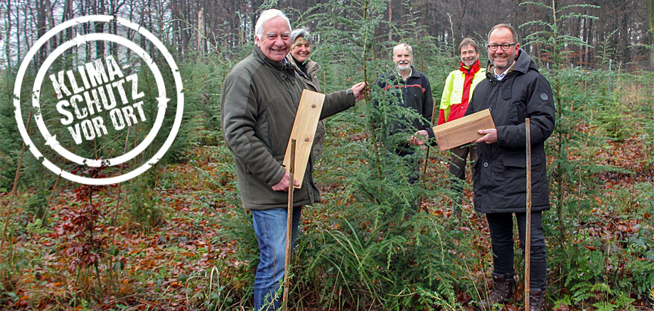 Die Wälder von Morgen wachsen heute heran   Freuen sich über die prächtige, vier Meter hohe Hemlocktanne (v.l.): Bundeswaldbeauftragter Cajus Caesar, Susanne Hoffmann (stellv. Leiterin Forstabteilung Landesverband Lippe), Revierförster Frank Homuth, Dr. Norbert Asche (Landesbetrieb Wald und Holz) und Jörg Düning-Gast (Verbandsvorsteher Landesverband Lippe). 