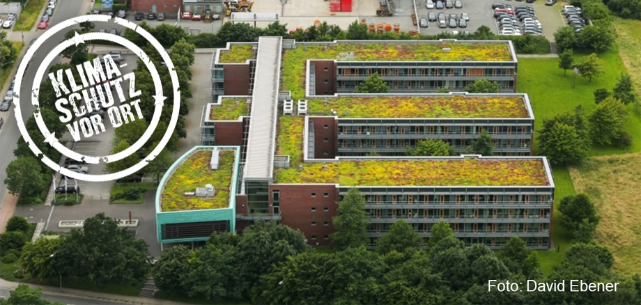 Dachbegrünung auf einem Gebäude in Osnabrück Dachbegrünung auf einem Gebäude in Osnabrück