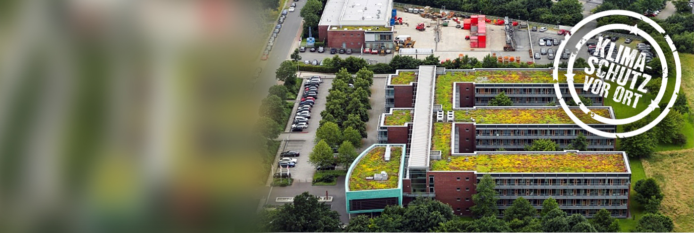 Dachbegrünung auf einem Gebäude in Osnabrück Dachbegrünung auf einem Gebäude in Osnabrück